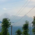 Bán gấp nhà & đất Gia Hiệp, Di Linh, Lâm Đồng (có sẵn dòng tiền 200tr/năm - giá còn thương lượng) - Ảnh thu nhỏ 10