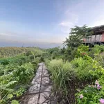 Bán đất vườn 1.000m² view sông La Ngà Cần Giờ 575 triệu - Ảnh thu nhỏ 2