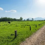 Bán đất thổ cư Ninh Thượng 135-205m2, giá hơn 100 triệu - Ảnh thu nhỏ 2
