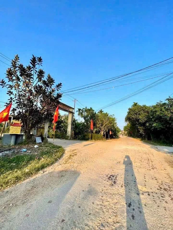 Bán 1200m² đất trồng cây lâu năm Huế - 139 triệu