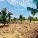 Bán đất nhà vườn Long Tân Vũng Tàu 1005m2 giá 1 tỷ 8 - Ảnh thu nhỏ 3
