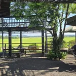 Bán đất 233m2 thổ cư 60m2 view ruộng Buôn Ma Thuột 1 tỷ 790 - Ảnh thu nhỏ 5