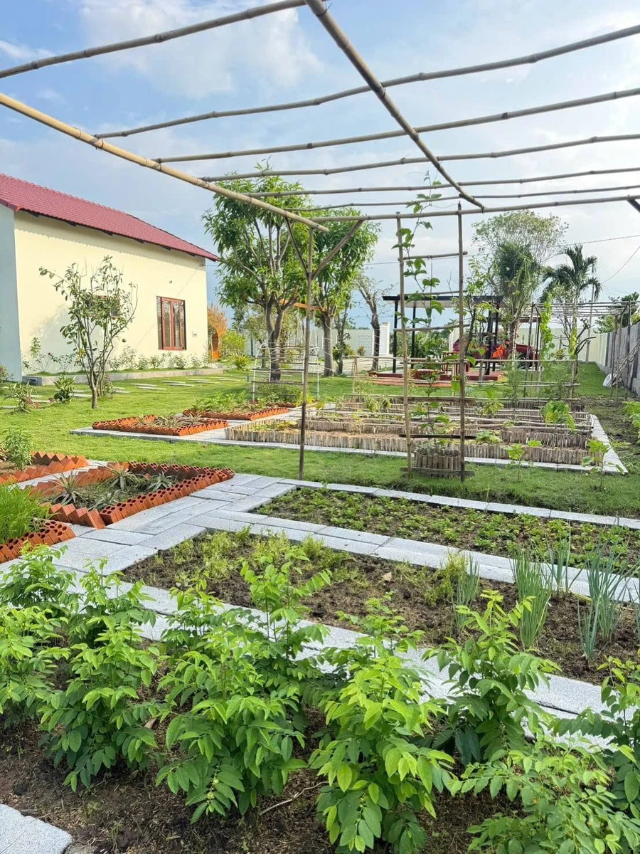 Bán nhà có vườn, cây trái, 1.606m² ở Phan Thiết - Ảnh thu nhỏ 4