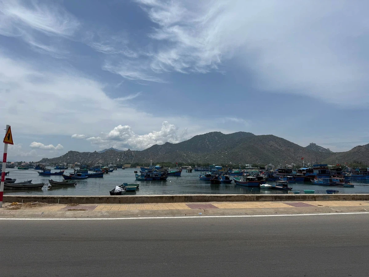 Bán lô đất biển Ninh Chữ 125m² mặt tiền kè Đầm Nại - Ảnh thu nhỏ 2