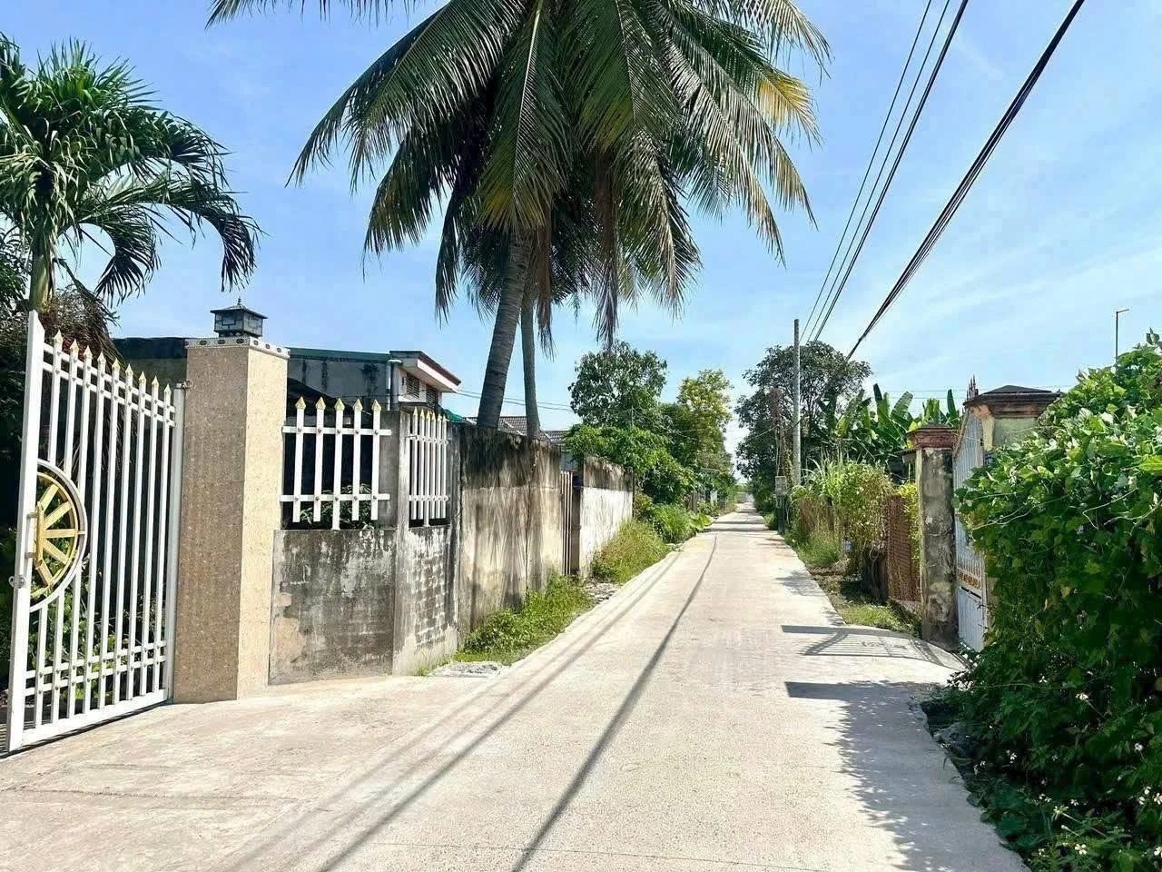 Bán đất thổ cư 114m2 ấp Thanh Phú, Bến Lức, Long An giá 1,2 tỷ - Ảnh 1