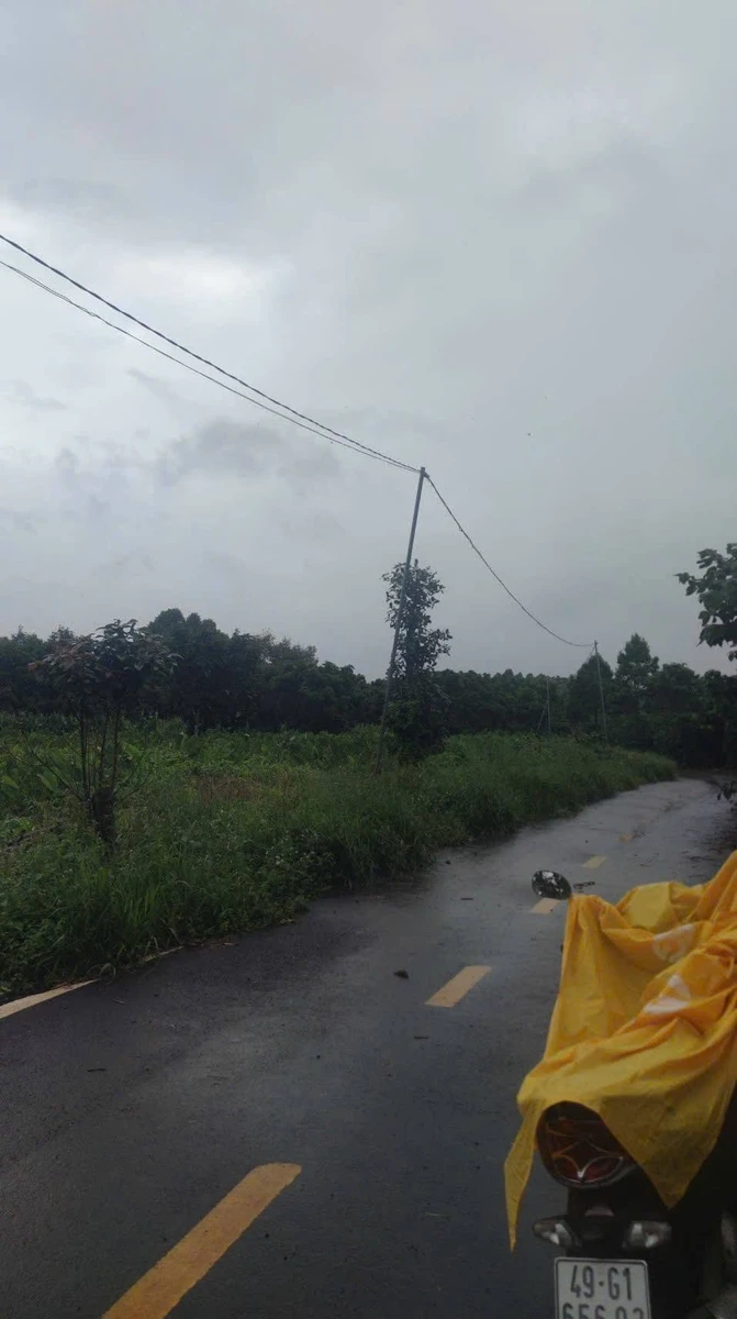 Bán 20 lô đất Bảo Lâm, 4.561m2, giá 8 tỷ - Ảnh thu nhỏ 4