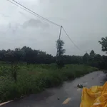Bán 20 lô đất Bảo Lâm, 4.561m2, giá 8 tỷ - Ảnh thu nhỏ 4