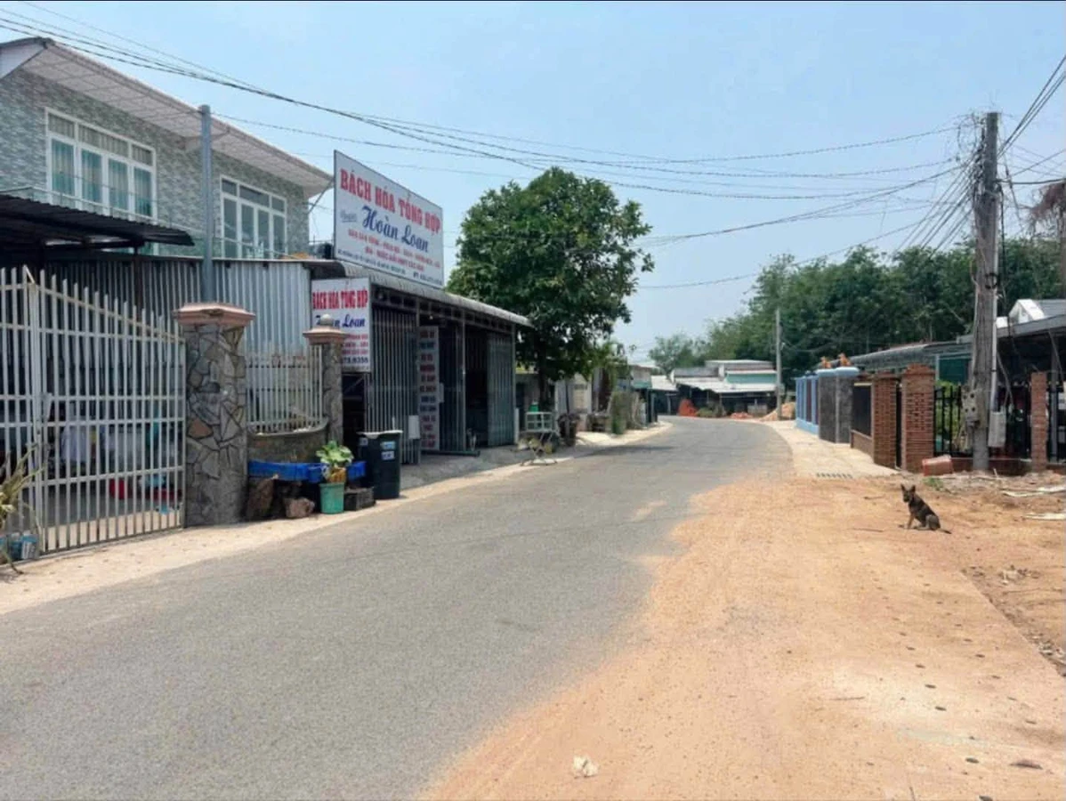 Bán nhà kèm đất thổ cư giá 1,9 tỷ đường Lập Giai, An Tây, Phường Tây Nam - Ảnh 1