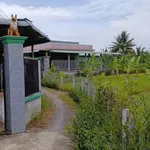 Bán đất cây hàng năm 3600m² Thạnh Đức, Bến Lức 2 tỷ - Ảnh thu nhỏ 4