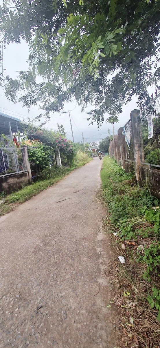 Bán đất sào Xuân Điền Hàm Hiệp, 500m², 1,5 tỷ - Ảnh thu nhỏ 2