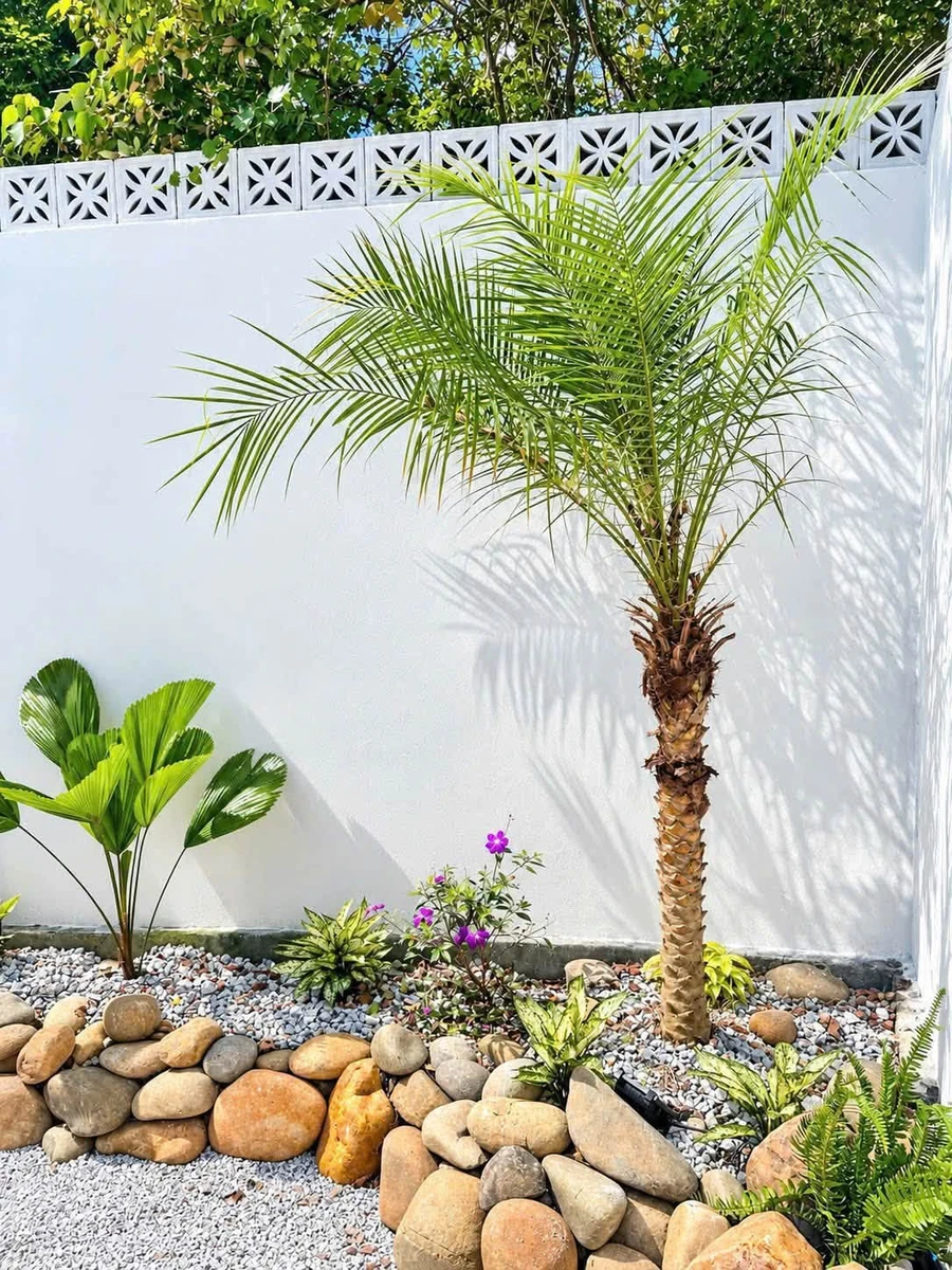 Bán nhà 2 tầng 122,6m² kiệt 109 Minh Mạng, TP Huế, 3PN, sổ hồng - Ảnh thu nhỏ 2