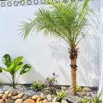 Bán nhà 2 tầng 122,6m² kiệt 109 Minh Mạng, TP Huế, 3PN, sổ hồng - Ảnh thu nhỏ 2