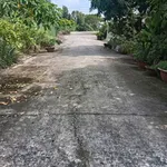 Bán đất thổ cư 80m2 Thủy Đông Thạnh Hóa Long An - Ảnh thu nhỏ 1