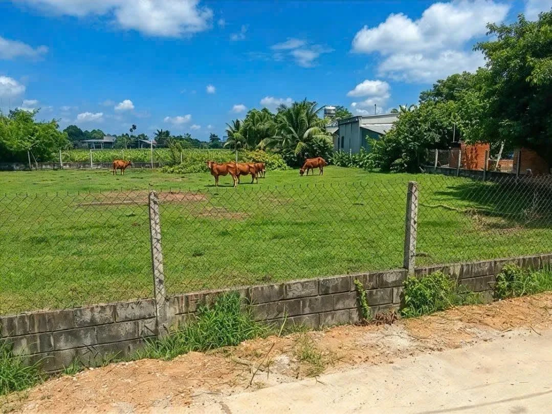 Bán đất thổ cư 240m² Xã An Ninh Đông 600 triệu - Ảnh thu nhỏ 2