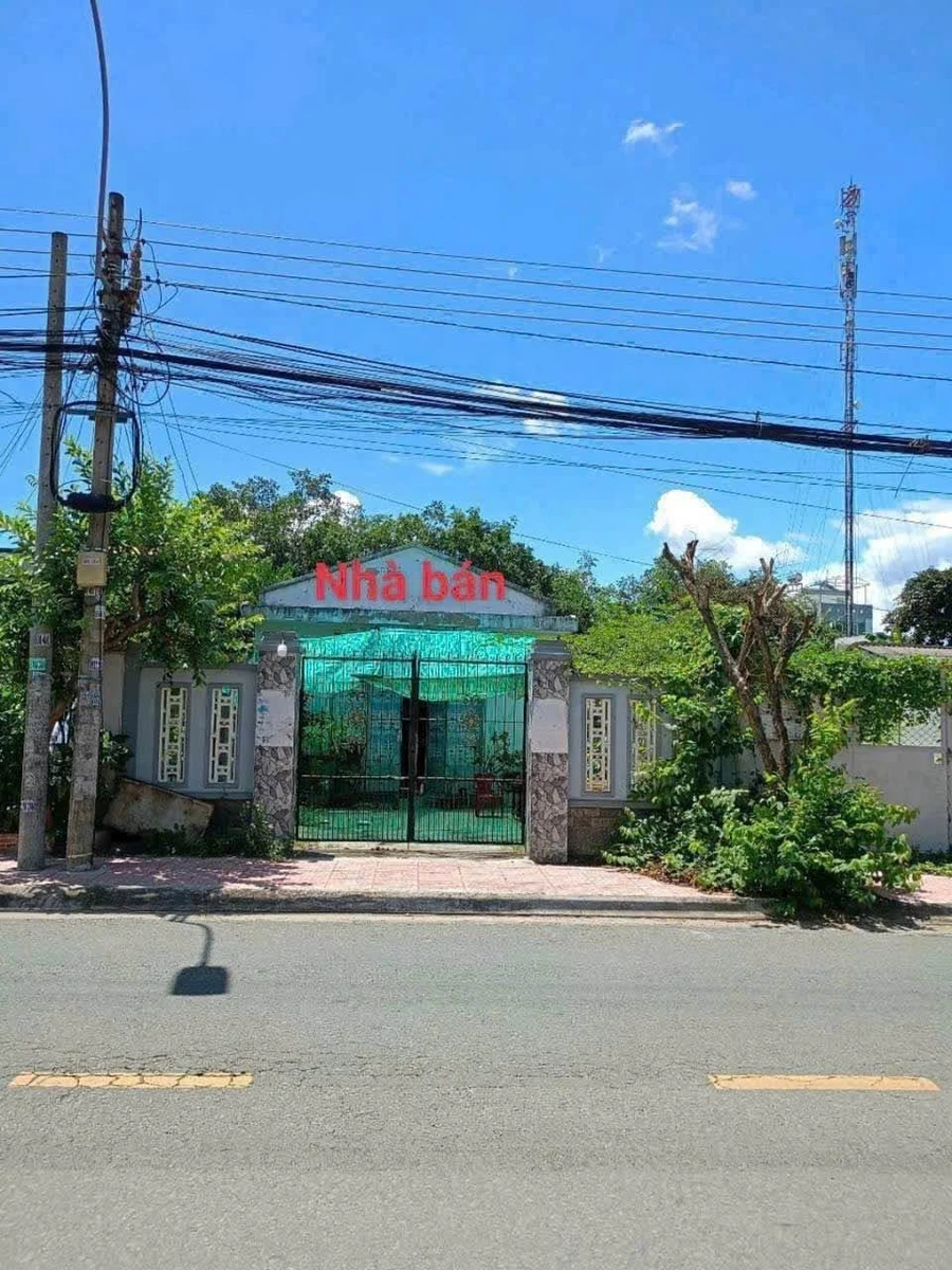 Bán nhà mặt tiền Nguyễn Minh Trường, Tân An 270m² - Ảnh 1