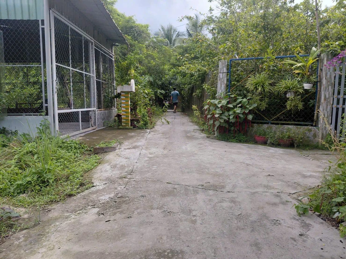 Bán 2 lô đất nền 5.5x29m tại Kim Sơn, Đồng Tháp, giá 340 triệu - Ảnh thu nhỏ 3