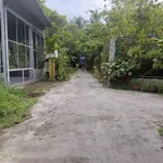 Bán 2 lô đất nền 5.5x29m tại Kim Sơn, Đồng Tháp, giá 340 triệu - Ảnh thu nhỏ 3