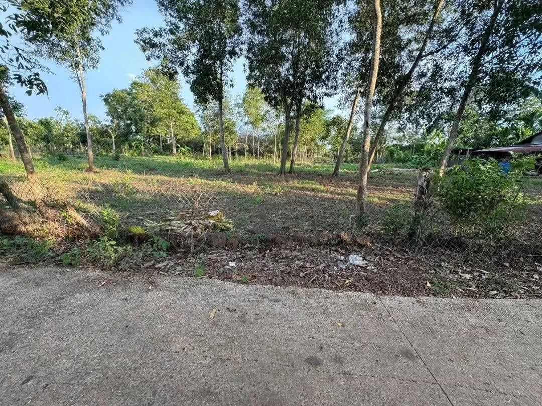 Bán đất thổ cư 21.000m² gần chợ Thanh An 199 triệu - Ảnh 1