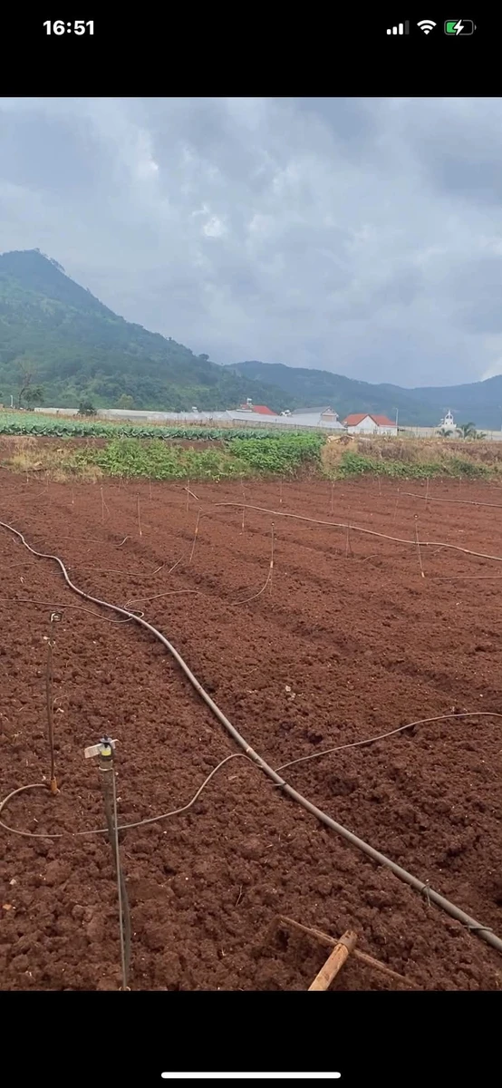 Bán lô đất Dức Trọng 1000m², Nhà Bè 2.8 tỷ - Ảnh 1