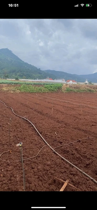 Bán lô đất 99.3m² Nghi Phú, Tân Phú, 2 tỷ thom