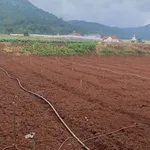 Bán lô đất Dức Trọng 1000m², Nhà Bè 2.8 tỷ - Ảnh thu nhỏ 1