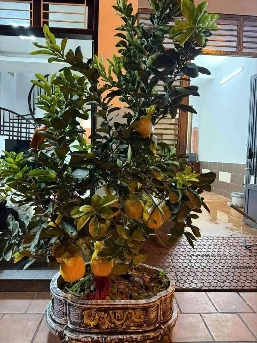 Bán nhà 56m² Trần Quang Khải 4,8 tỷ, 4 tầng gần phố đi bộ - Ảnh thu nhỏ 2