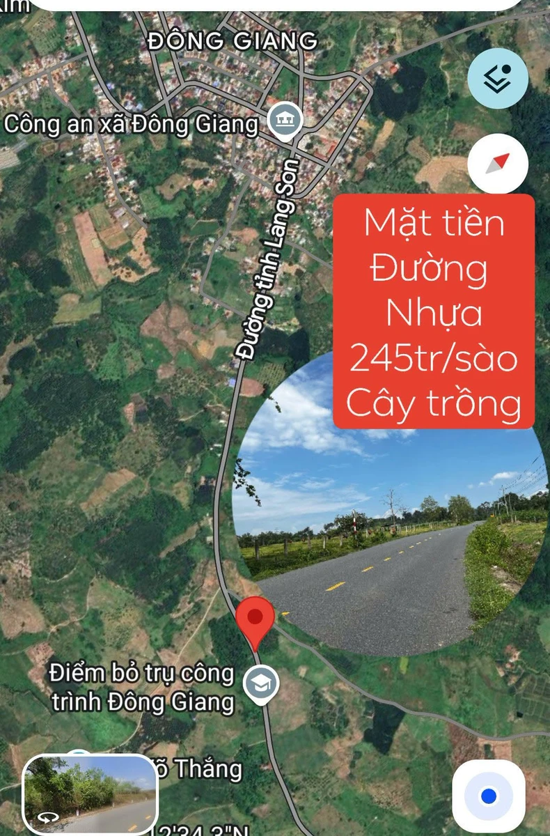 Bán đất cây lâu năm 13.434m² mặt tiền DT22, Lâm Đồng - Ảnh 1