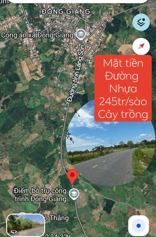 Bán đất cây lâu năm 13.434m² mặt tiền DT22, Lâm Đồng