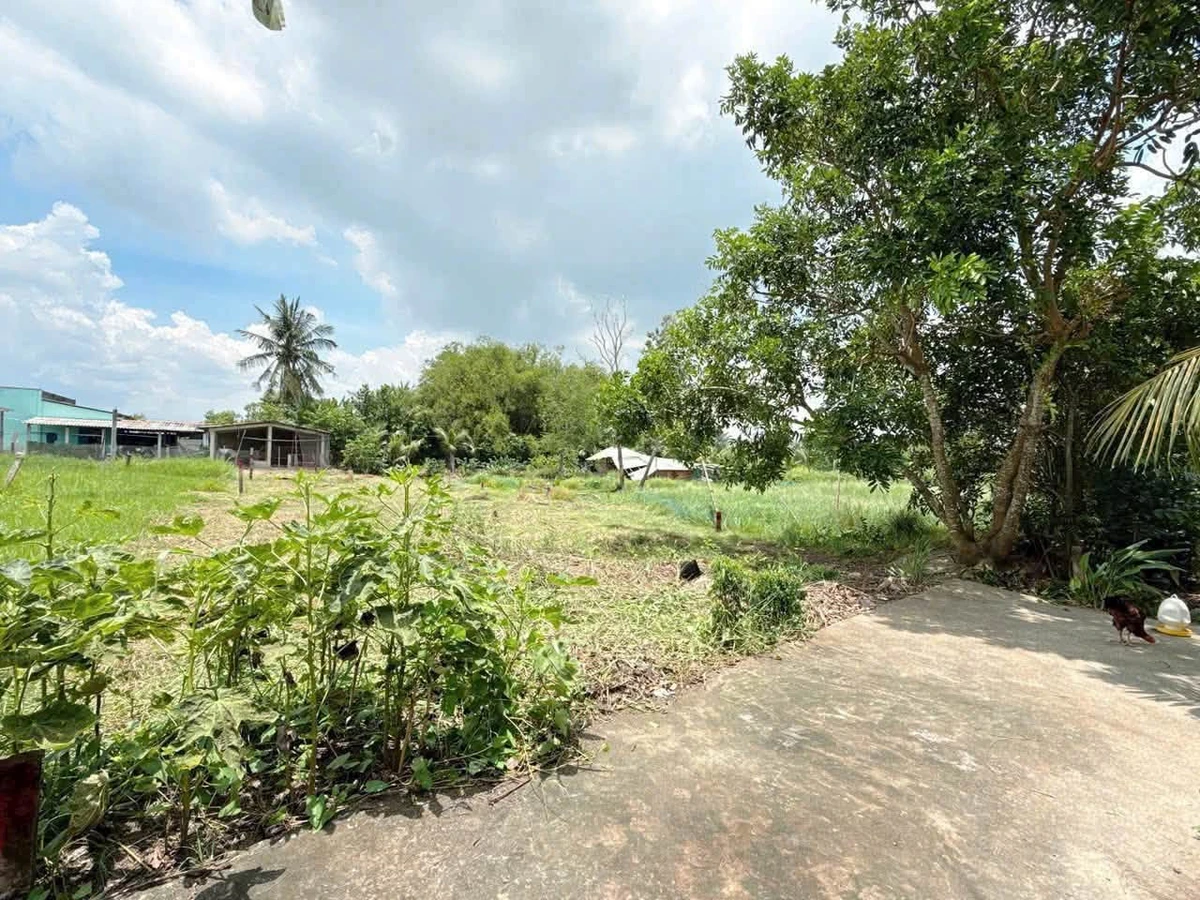 Bán đất thổ cư 380m² Bình Tân, 500 triệu - Ảnh thu nhỏ 2