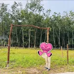 Bán đất Bình Phước 100m², 310 triệu - Ảnh thu nhỏ 3