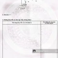 980tr, 1000m2 có thổ cư gần hết đất, gần dự án KCN Hiệp Thạnh, đường bê tông - Ảnh thu nhỏ 12