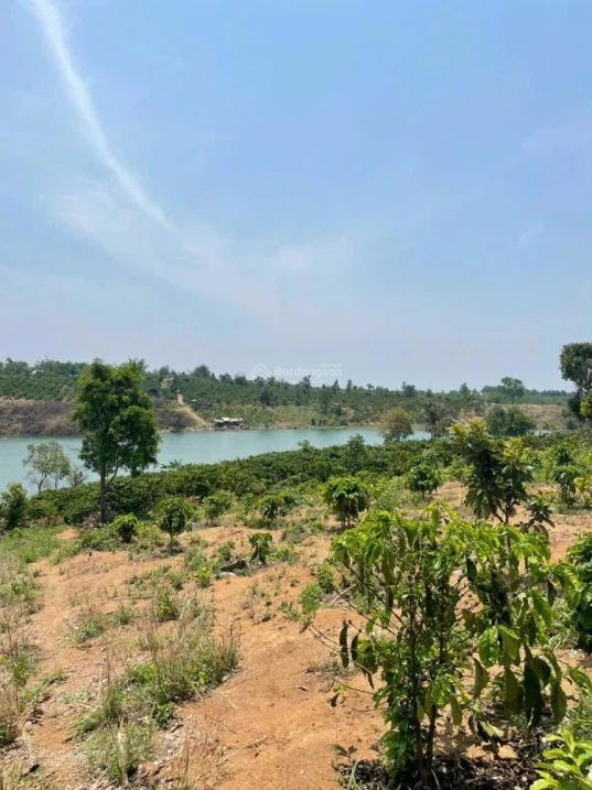 Bán đất view hồ ĐakMa Quảng Ngãi Giá tốt - Ảnh thu nhỏ 3