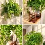 Bán đất 100m2 lộ giới 24m Quy Nhơn Tây, Bình Dương 1,3 tỷ - Ảnh thu nhỏ 2