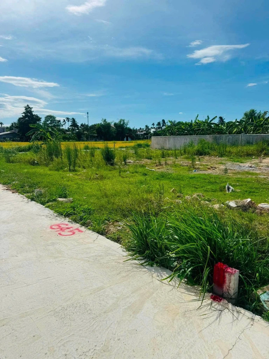 Bán đất 80,6m² khu Ngọc Anh, phường Mỹ Thượng, TP Huế giá khoảng 1 tỷ 4 - Ảnh thu nhỏ 4