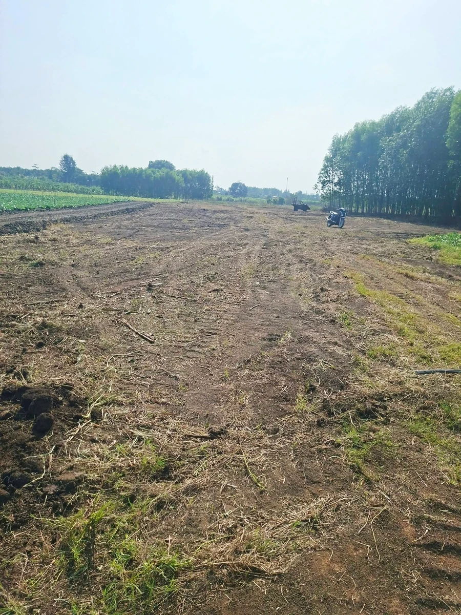 Bán đất Xuân Đông Đồng Nai 1000 m2 - Ảnh thu nhỏ 3