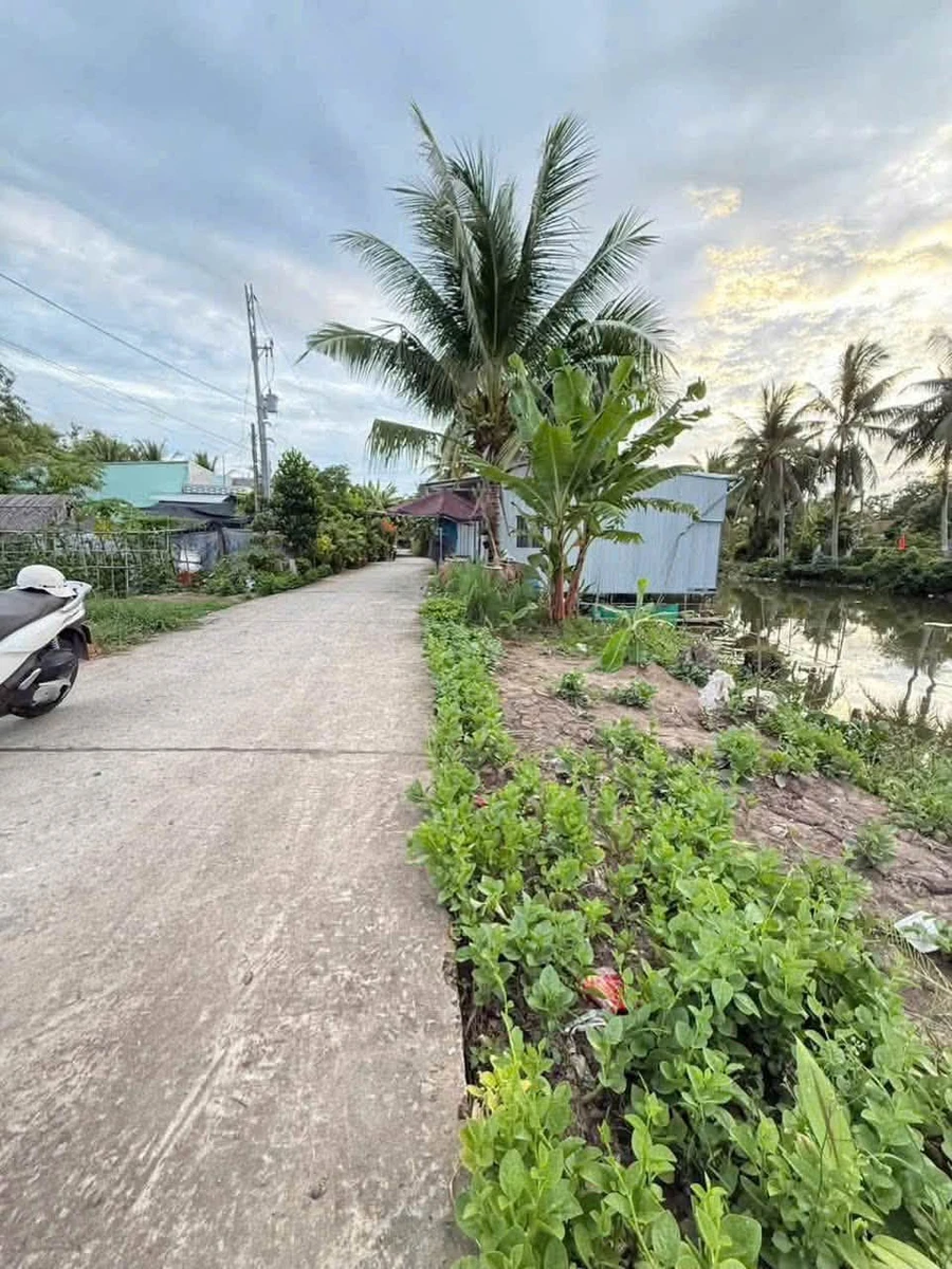 Bán nền đất 200m² Châu Thành Bình Dương - Ảnh thu nhỏ 2
