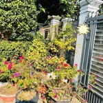 Bán nhà cấp 4 100m² Phường Bạc Liêu 1 tỷ 350 triệu - Ảnh thu nhỏ 5