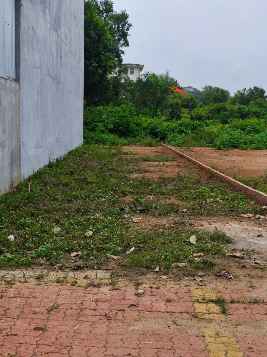 Bán đất nở hậu 285m2 Trần Hưng Đạo Long Điền 2.59 tỷ - Ảnh thu nhỏ 4