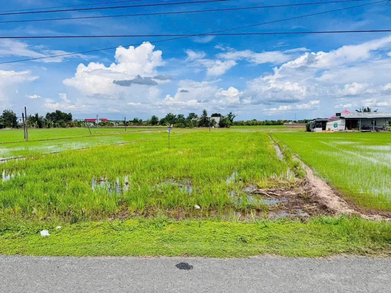 Bán lô đất 5x36m Bình Lãng, Tân Trụ 980 triệu