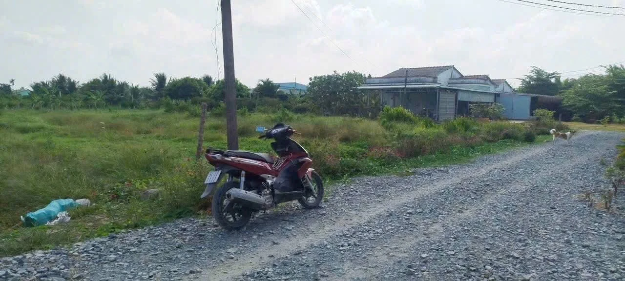 Bán đất 1.712m² Hòa Phú, Châu Thành, Long An - Ảnh 1