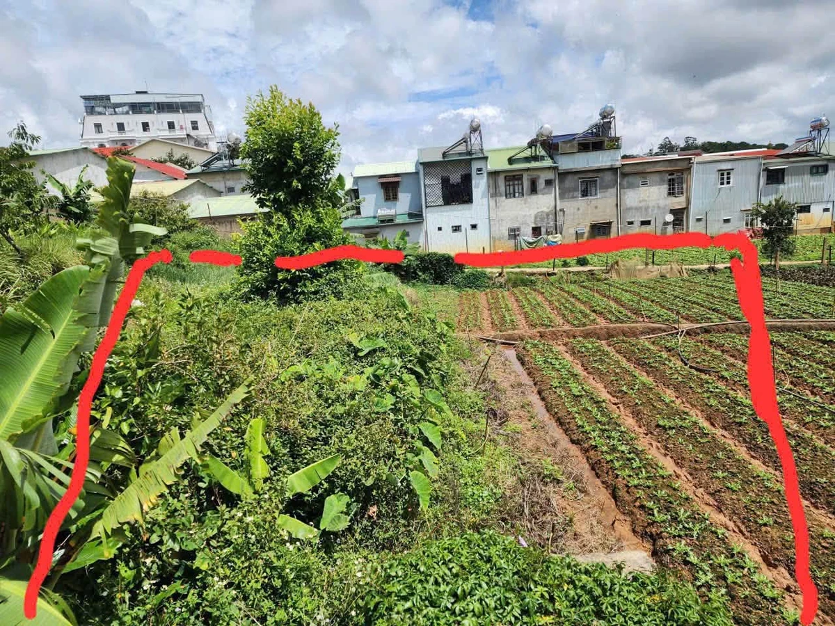 Bán lô đất 2 mặt tiền 10x25m đường Trạng Trình, Phường 9, Đà Lạt giá 15 tỷ - Ảnh thu nhỏ 3