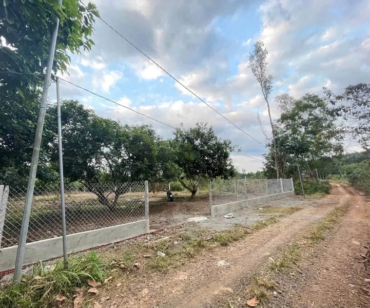 Bán đất 1600m² Bình An Long Thành giá 2.7 tỷ