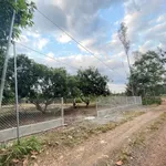 Bán đất 1600m² Bình An Long Thành giá 2.7 tỷ - Ảnh thu nhỏ 1