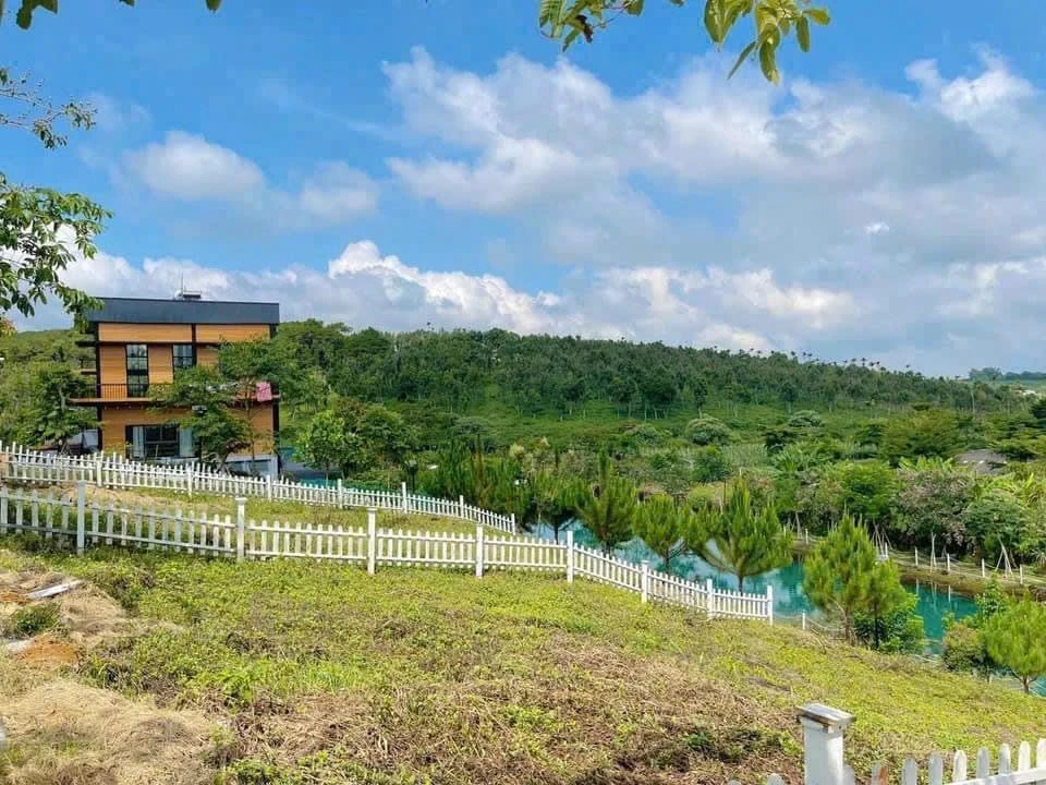Bán đất nghỉ dưỡng 110,8m2 view hồ Tảo Hồng giá 840 triệu, Phường 2, Bảo Lộc - Ảnh thu nhỏ 3