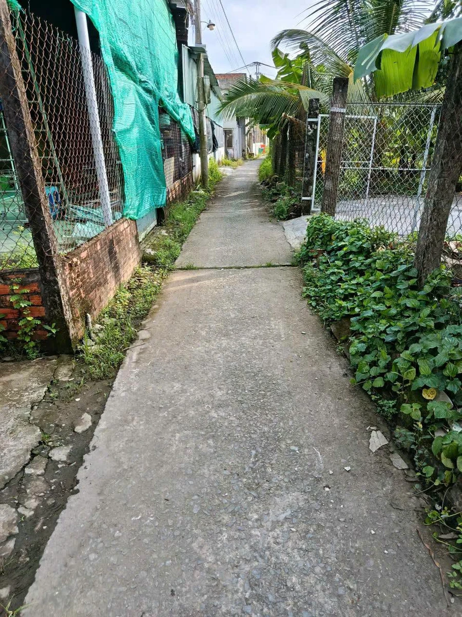 Bán nhà vườn 450m² Phường 5 Bình Tân, 2,6 tỷ - Ảnh 1