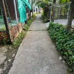 Bán nhà vườn 450m² Phường 5 Bình Tân, 2,6 tỷ - Ảnh thu nhỏ 1