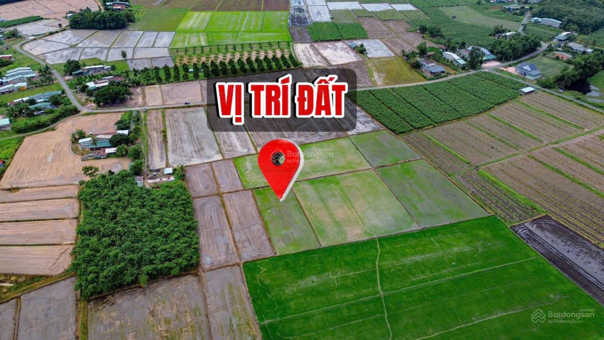 Bán gấp đất vườn Long Thuận, Tây Ninh | 12.654m2 | 16 tỷ đất cao ráo khu dân cư đông đúc - Ảnh 1