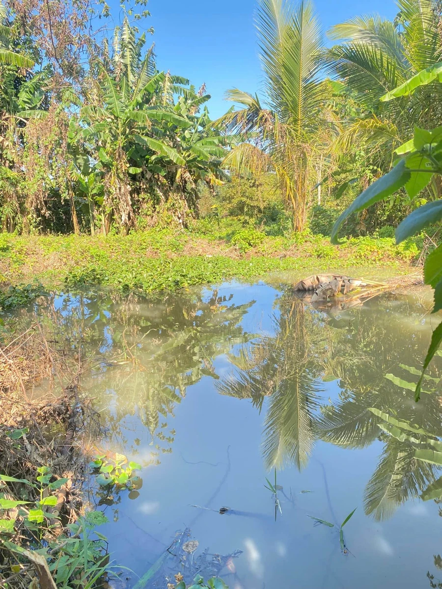 Bán đất 1.200m² Ô Việt Ê Pan Bình Chánh - Ảnh thu nhỏ 2