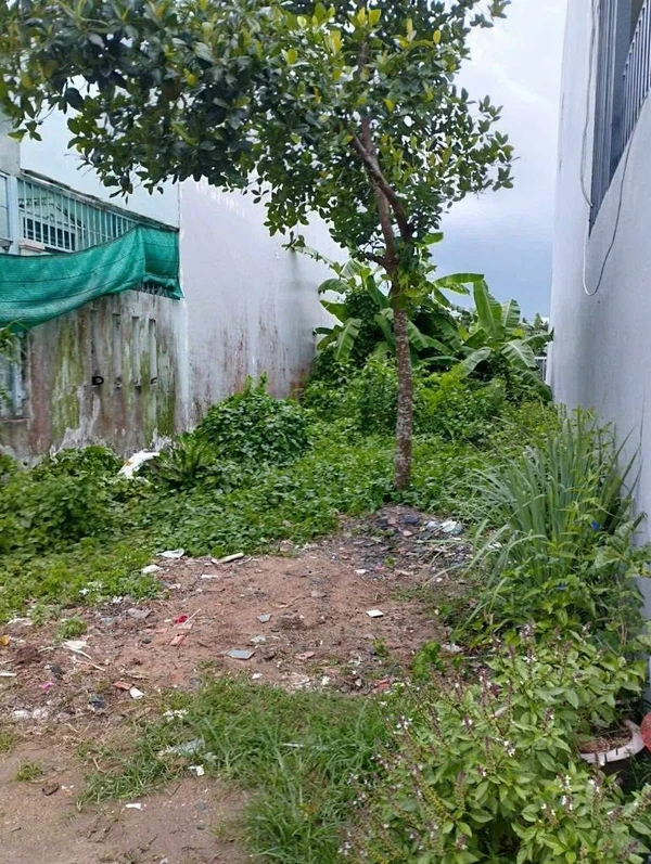 Bán đất thổ cư 100m² Cần Thơ 1 tỷ 390 triệu