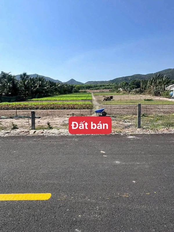 Bán đất Long Mỹ Phước Hải 4873m2, 2 triệu/m2